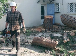 Abattage d’un arbre dangereux par démontage manuel / Saint-Cyr-sur-Mer (Var, 83)