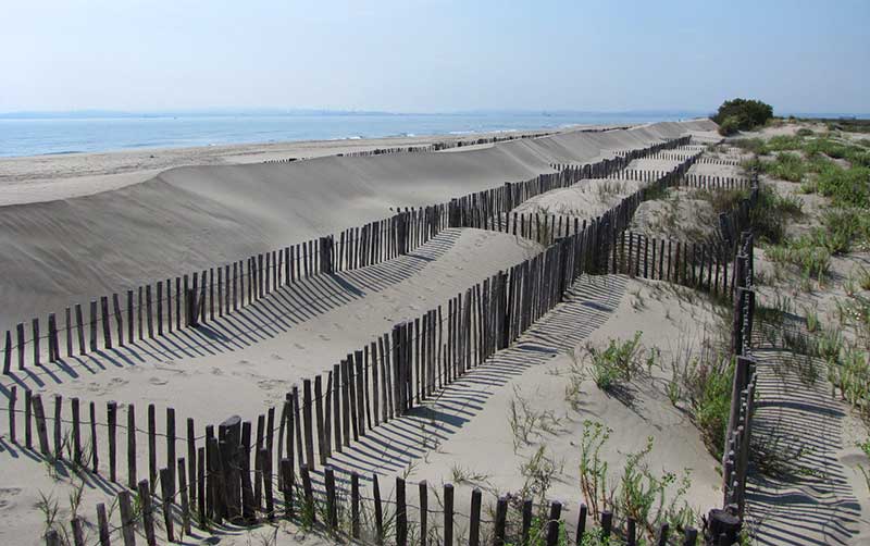 Lutte contre érosion des dunes - ganivelles