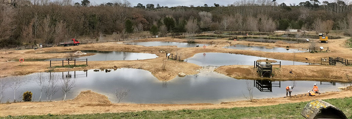 Restauration d'une zone de rejet végétalisée - Connexion des bassins